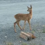 Sonntal Einkehr