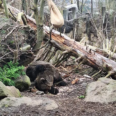 Sonntal Einkehr Apartmán Fieberbrunn