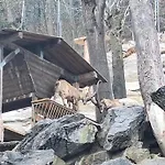 Sonntal Einkehr Fieberbrunn