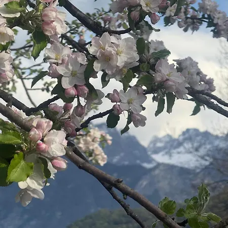 Sonntal Einkehr